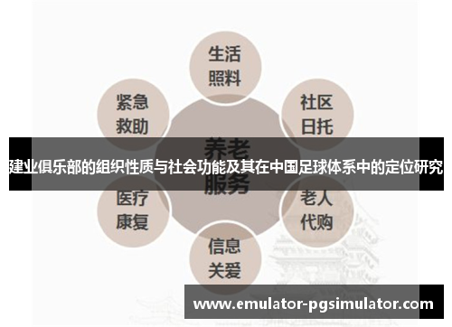 建业俱乐部的组织性质与社会功能及其在中国足球体系中的定位研究 建业俱乐部的组织性质与社会功能及其在中国足球体系中的定位研究
