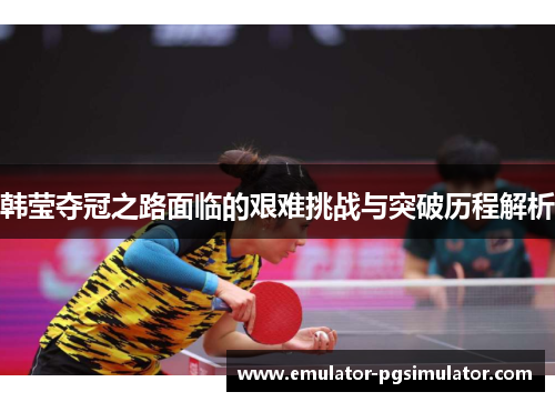 韩莹夺冠之路面临的艰难挑战与突破历程解析