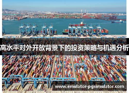 高水平对外开放背景下的投资策略与机遇分析