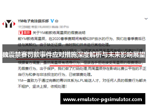魏震禁赛罚款事件应对措施深度解析与未来影响展望