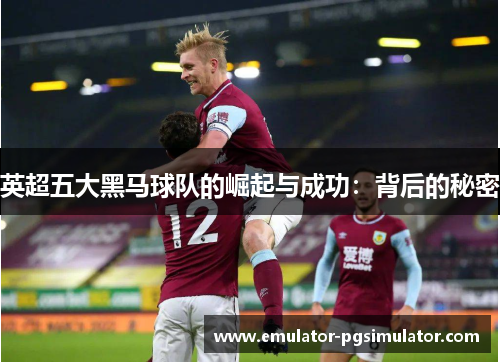 英超五大黑马球队的崛起与成功：背后的秘密