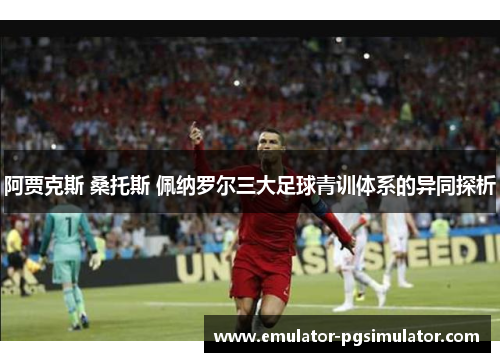 阿贾克斯 桑托斯 佩纳罗尔三大足球青训体系的异同探析