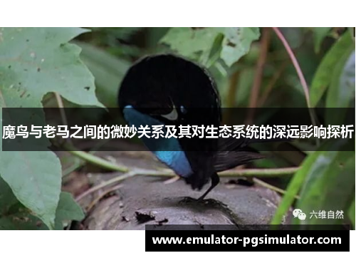 魔鸟与老马之间的微妙关系及其对生态系统的深远影响探析 魔鸟与老马之间的微妙关系及其对生态系统的深远影响探析