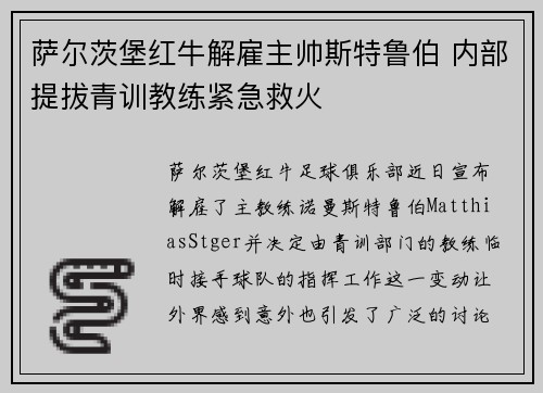 萨尔茨堡红牛解雇主帅斯特鲁伯 内部提拔青训教练紧急救火 萨尔茨堡红牛解雇主帅斯特鲁伯 内部提拔青训教练紧急救火